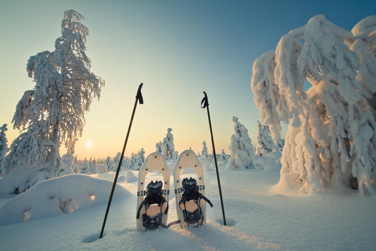 Vaattunki Wilderness Resort Rovaniemi Eksteriør billede